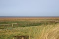 Coastal grasses on nature reserve showing dog walkers