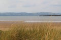 Coastal grasses with sea and mountains