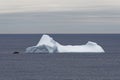 Coastal iceberg, Newfoundland and Labrador, Canada Royalty Free Stock Photo