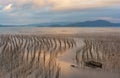 The coastal intertidal zone Royalty Free Stock Photo