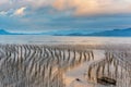 The coastal intertidal zone Royalty Free Stock Photo