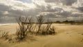 Coastal Background Outer Banks Hatteras  North Carolina Royalty Free Stock Photo