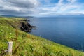 Coastal landscape with green meadows and rugged cliffs on a beautiful summer day on the Dingle Peninsula of County Kerry in
