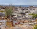 Coastal limestone rocks with pools of water with typical menorcan coastal plants growing in a harsh environment with bright sea