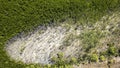 Coastal Mangrove Environment