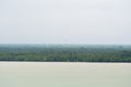 Coastal mangrove forest scenery. Aerial view from the seaside. Seascape with ocean, trees and radio communications tower. Island