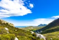 Coastal mountain landscape with fynbos flora in Cape Town Royalty Free Stock Photo