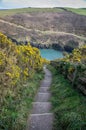 Coastal path around port quin near port isaac cornwall england UK