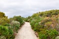 Coastal Path: Dunsborough, Western Australia Royalty Free Stock Photo