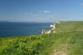 Coastal path near Lulworth Cove Royalty Free Stock Photo