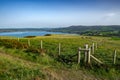 Coastal Path At The Wild Atlantic Coast Of Dinas Head In Pembrokeshire In Wales, United Kingdom