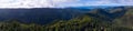 Panoramic Landscape of Redwood Forest in Northern California Royalty Free Stock Photo