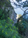 The coastal Road on Amalfi Coast