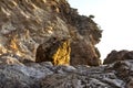 Coastal rock at sunrise. Rocky shore. Cobblestones Royalty Free Stock Photo