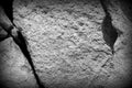 Coastal rock texture close-up. Stone background black and white Royalty Free Stock Photo