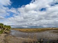 Coastal Salt Marsh Wildlife Refuge with Endless Sky and Clouds Royalty Free Stock Photo