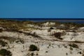 Coastal sand dunes