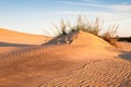 North Carolina Coastal Sand Landscape