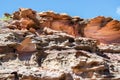 Coastal Sandstone Bluffs