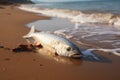 Coastal scene dead fish on the beach with sea waves