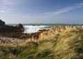 Coastal scene on guernsey,