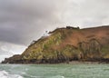 Coastal scene on Sark Royalty Free Stock Photo