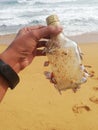 A coastal sea creature form Sri Lanka stuck in a bottle