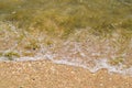 Coastal sea waves. Seawater with seaweed. Coastal algae. Sea beach. Royalty Free Stock Photo