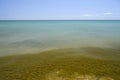 Coastal sea waves. Seawater with seaweed. Coastal algae. Sea beach. Royalty Free Stock Photo