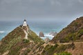 Coastal seaside landscape with lighthouse, Nugget Point, New Zealand