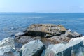 Coastal sedimentary rocks in Blue Rocks, Nova Scotia