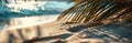 Coastal Serenity Beach Sand Wallpaper and Design amidst Palm Trees, Generative AI