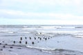 Coastal shore view with baltic sea and rocks on sand Royalty Free Stock Photo