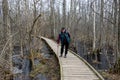 Coastal stand of forest flooded in spring, trail in flooded deciduous forest with wooden footbridge, lone traveler on wooden Royalty Free Stock Photo