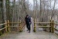 Coastal stand of forest flooded in spring, trail in flooded deciduous forest with wooden footbridge, lone traveler on wooden Royalty Free Stock Photo