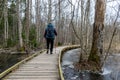 Coastal stand of forest flooded in spring, trail in flooded deciduous forest with wooden footbridge, lone traveler on wooden Royalty Free Stock Photo