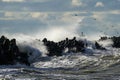 Coastal storm in the Baltic Sea, big waves crash against the harbor breakwater, breaking wave Royalty Free Stock Photo