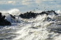 Coastal storm in the Baltic Sea, big waves crash against the harbor breakwater, breaking wave Royalty Free Stock Photo