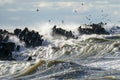 Coastal storm in the Baltic Sea, big waves crash against the harbor breakwater, breaking wave Royalty Free Stock Photo