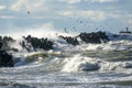 Coastal storm in the Baltic Sea, big waves crash against the harbor breakwater, breaking wave Royalty Free Stock Photo