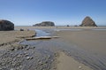 Coastal Stream Leading to an Ocean Bay