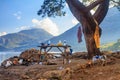 Coastal summer landscape - view of the camping site on the Lycian Way