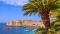 Coastal summer landscape - view of the City Harbour of the Old Town of Dubrovnik