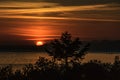 Coastal sunset behind pine trees Royalty Free Stock Photo