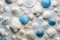 Coastal-Themed Wall Texture Background with Weathered Seashells and Soothing Blue Tones