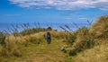 Coastal trail on Otago Peninsula Royalty Free Stock Photo