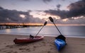 Coastal Tropical Sunrise at Palm Cove Beach Royalty Free Stock Photo