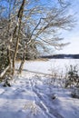 Coastal view of The Dagmar park in winter, trees on the shore and foot prints in the snow, Kallviken, Raseborg, Finland