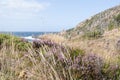 Coastal view from Kullaberg, Sweden