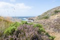 Coastal view from Kullaberg, Sweden